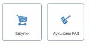 Лот Онлайн – электронная площадка Российский аукционный дом банкротство электронная торговая площадка